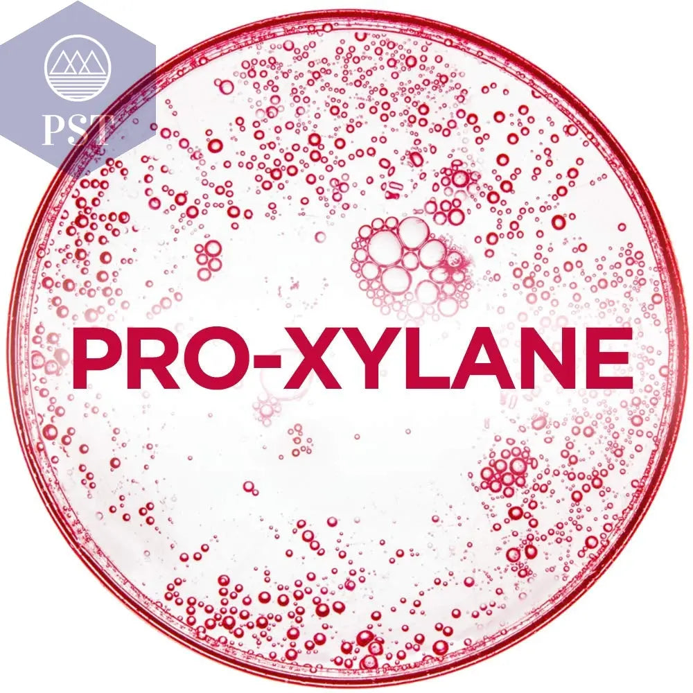 L'Oreal Paris Revitalift Gesichtspflege Anti-Aging Nachtcreme Intensiv PST PS Tradings  PST PS Tradings  PST PS Tradings L'Oreal Paris Revitalift Gesichtspflege Anti-Aging Nachtcreme Intensiv