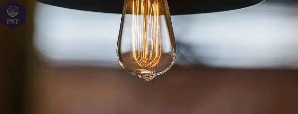 Retro Edison Light Bulb E27 220V 40W ST64 G80 G95 T10 T45 T185 A19 A60 Filament Incandescent Ampoule Bulbs Vintage Edison Lamp       PST PS Tradings